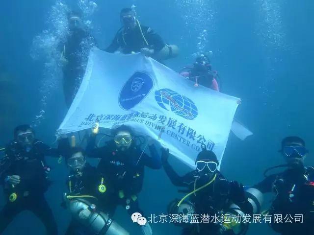 口袋森林世界杯防守战