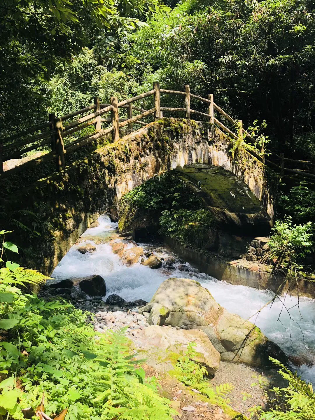 说起澳门，你会想到什么？