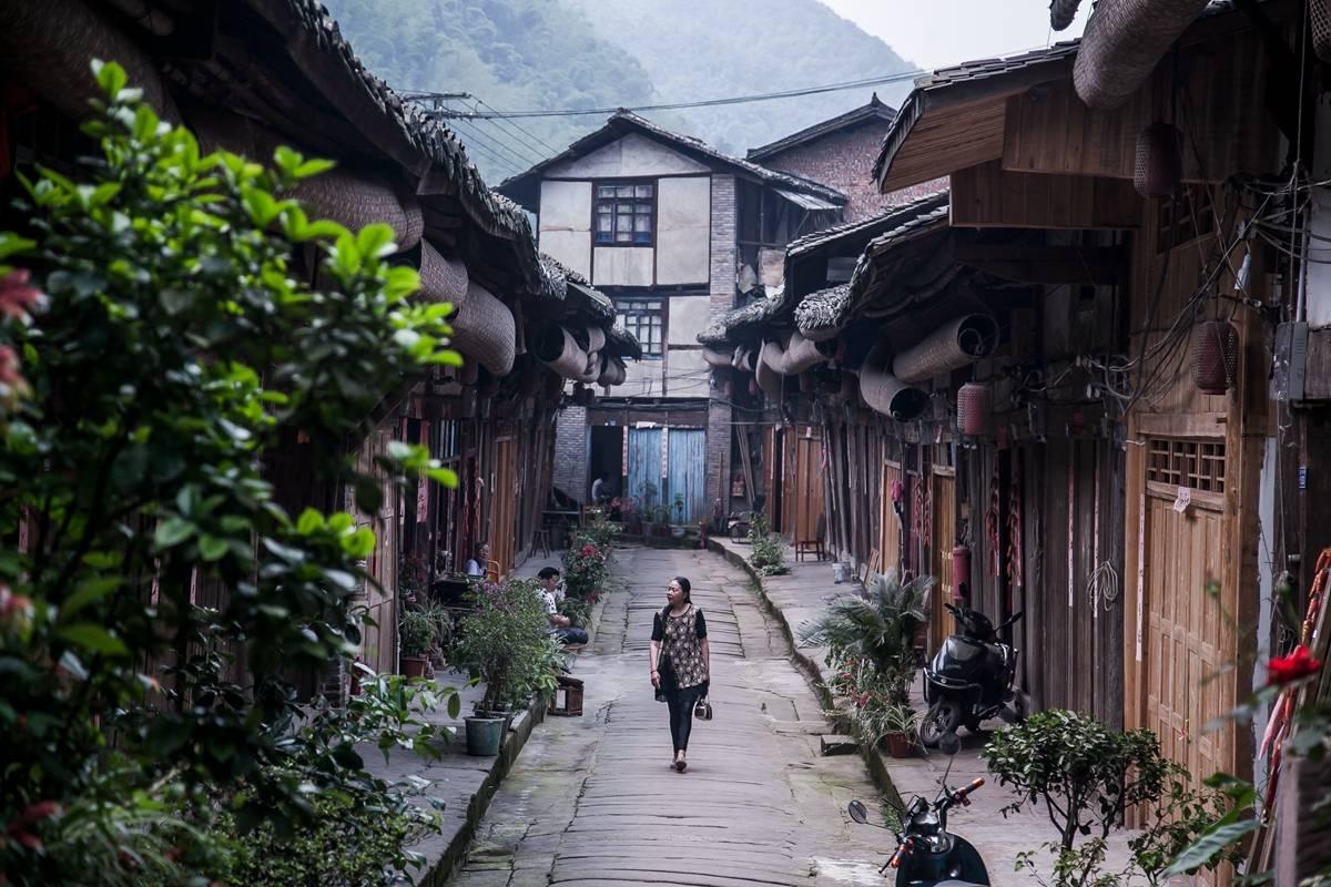 犬猿之仲是中国成语吗？游戏画面